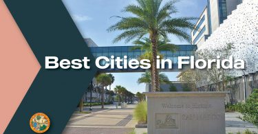 a view of palms in florida