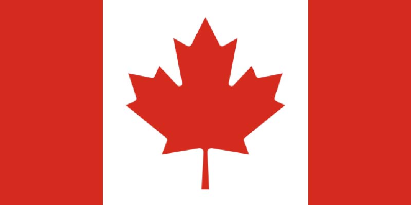 canada flag with a red maple tree 