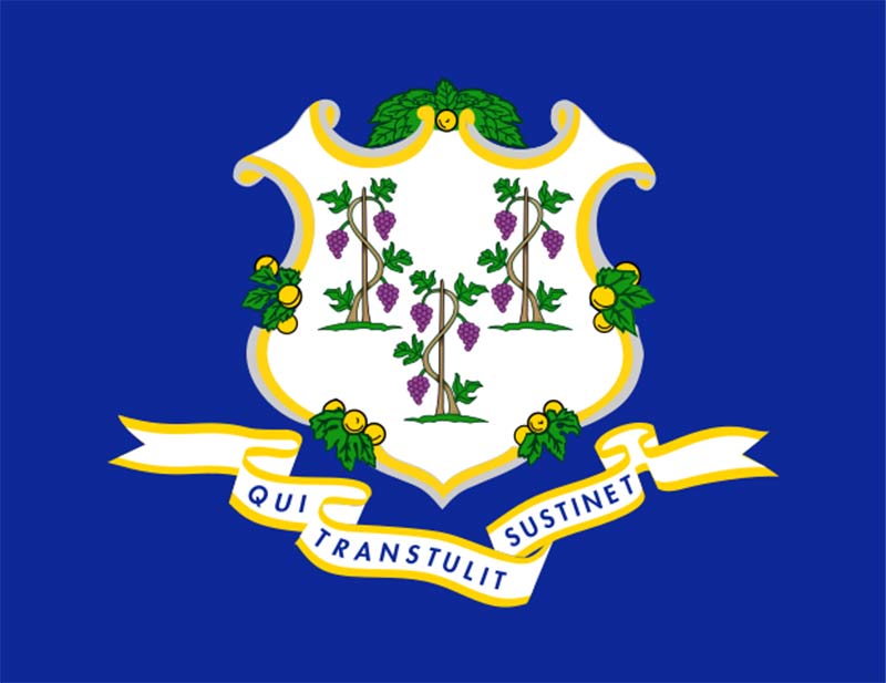 connecticut state flag in blue