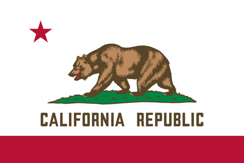 california flag featuring a bear 