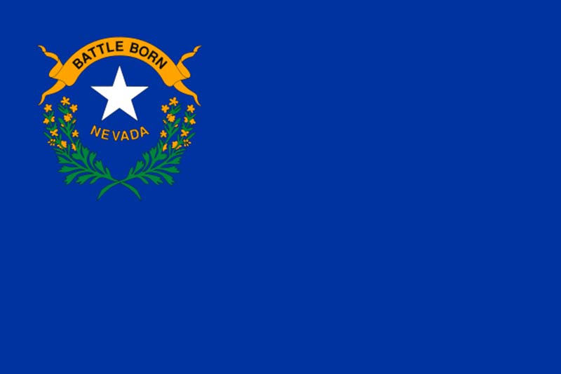 blue flag featuring a white star and battle born motto