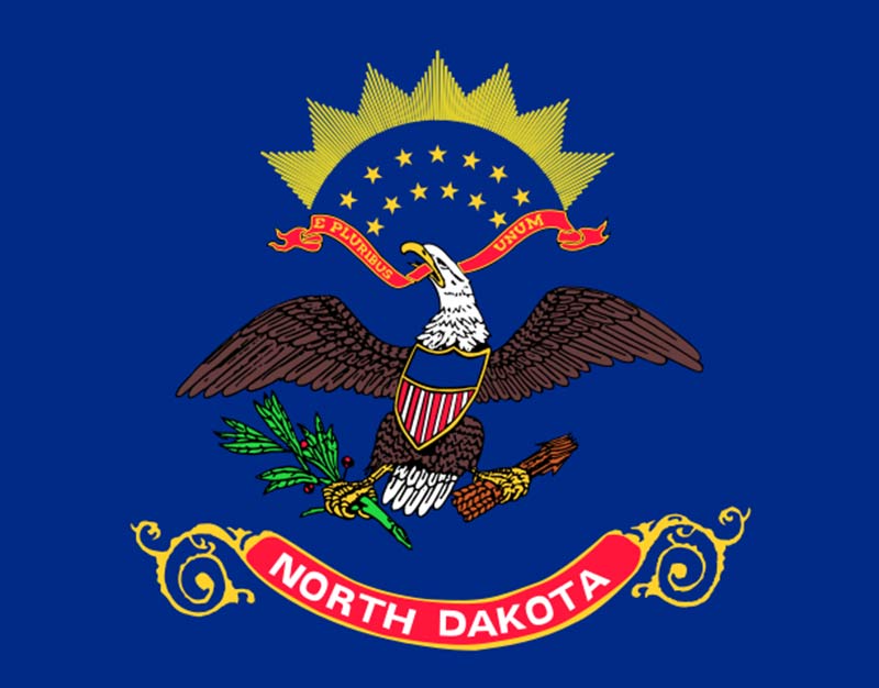 blue north dakota flag featuring an eagle 