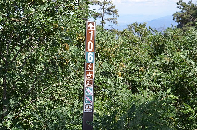 sign-in-the-woods-prescott-valley