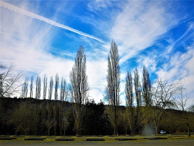 state park in autumn, sammamish