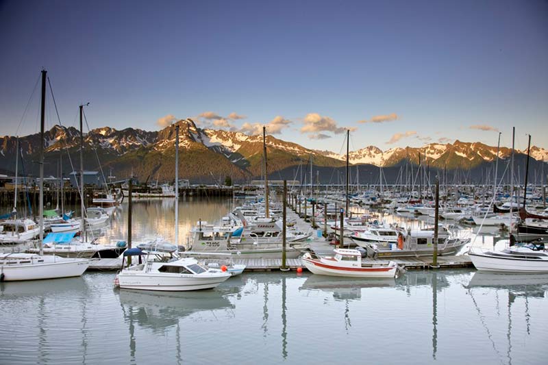 boat marina photo with numerous white boats and mountains in the background